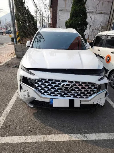 2021 Hyundai Santa FE KMHS381LGMU397907 VIN:KMHS381LGMU397907