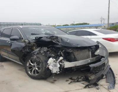 2021 Kia Sorento KNARF81BGMA076325 VIN:KNARF81BGMA076325