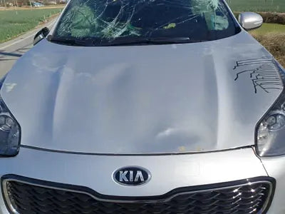 2017 Kia Sportage NONE VIN: