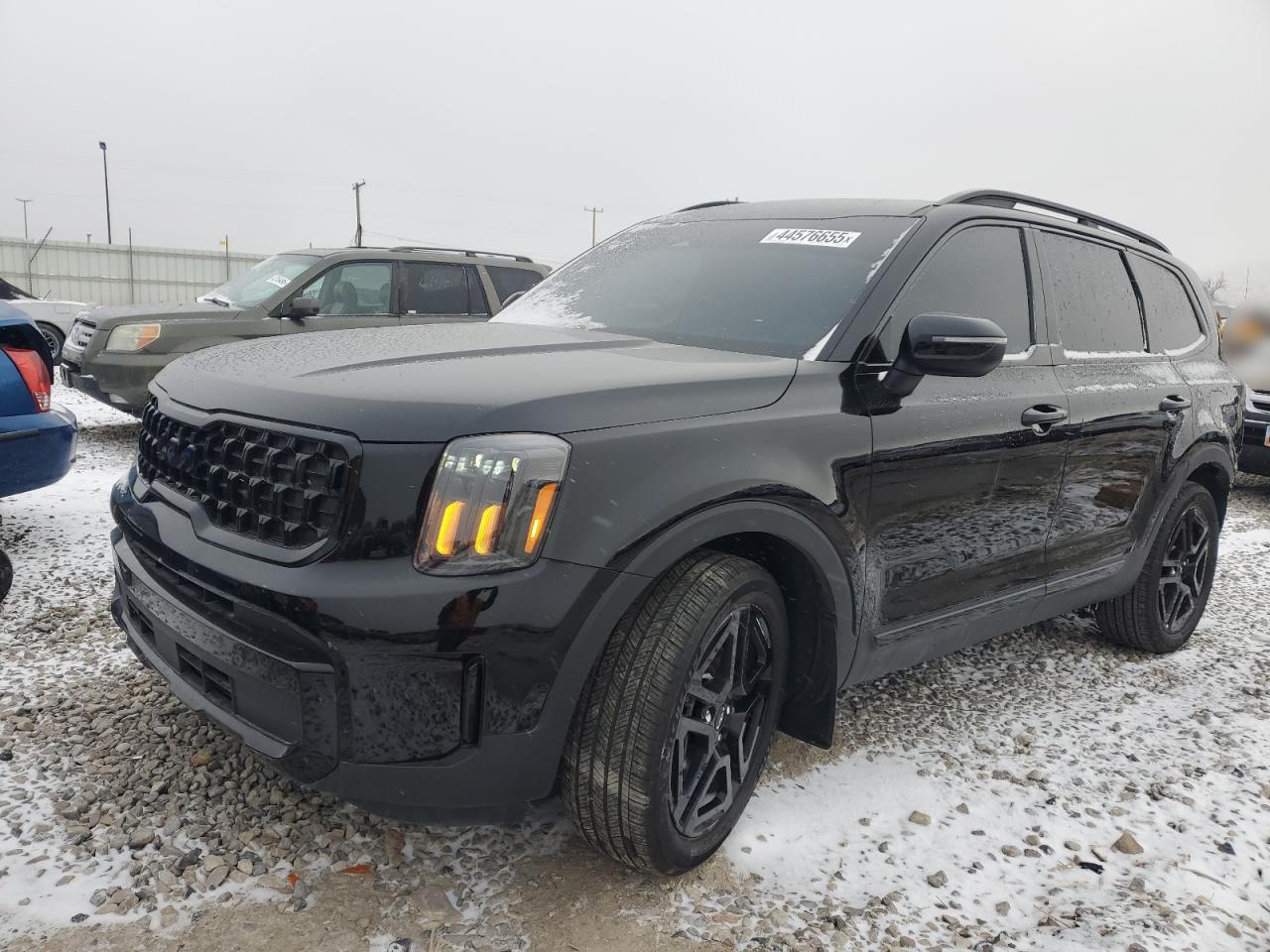 2024 KIA TELLURIDE EX VIN:5XYP3DGC9RG424653