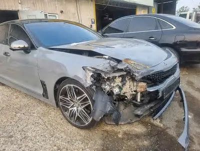 2021 Kia Stinger KNAE351DDMS093636 VIN:KNAE351DDMS093636