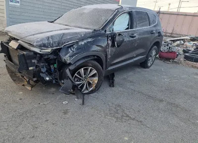 2019 Hyundai Santa FE KMHS281BBKU023902 VIN:KMHS281BBKU023902