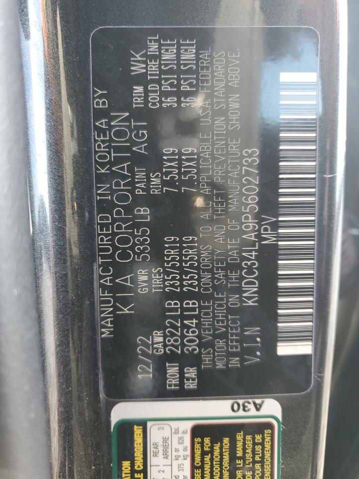 2023 KIA EV6 LIGHT VIN:KNDC34LA9P5602733