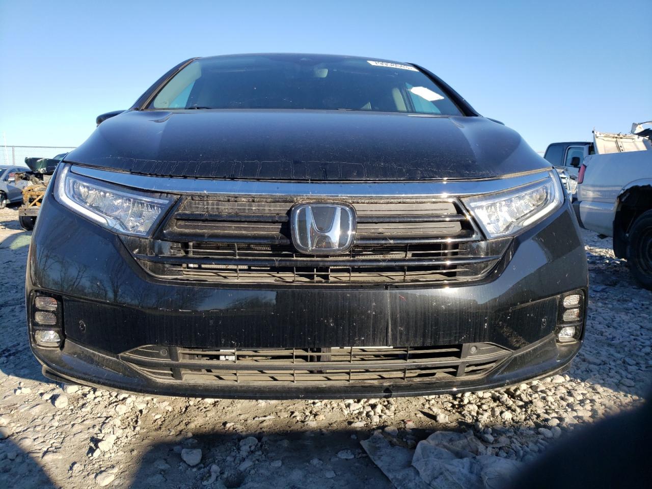 2023 HONDA ODYSSEY ELITE VIN:5FNRL6H93PB065473