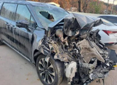 2021 Kia Carnival KNANC81BBMS018195 VIN:KNANC81BBMS018195