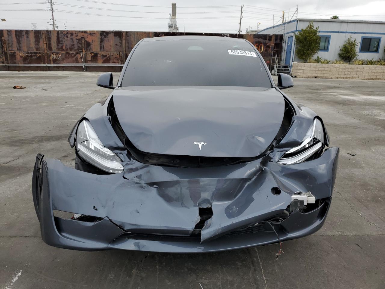 2023 TESLA MODEL Y  VIN:7SAYGDEE3PA045990