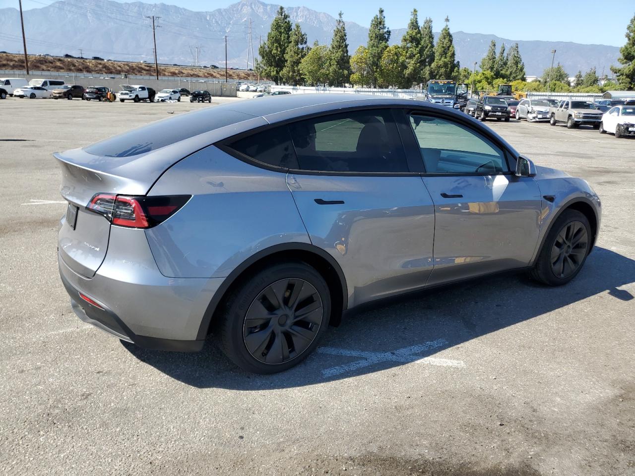 2024 TESLA MODEL Y  VIN:7SAYGDEE8RA299794