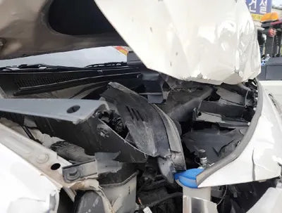 2019 Hyundai Santa FE KMHS381CDKU015039 VIN:KMHS381CDKU015039