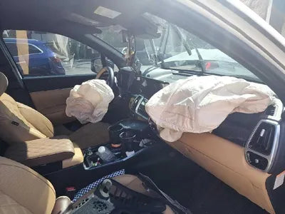 2021 Kia Sorento KNARF81GDMA045087 VIN:KNARF81GDMA045087