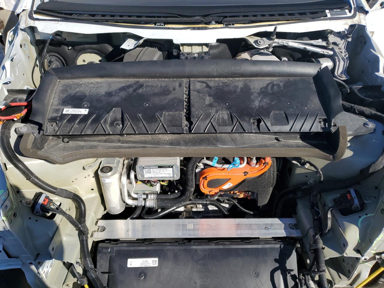 2023 TESLA MODEL Y  VIN:7SAYGDEE6PA147428