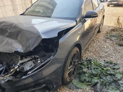 2019 Kia K5 KNAGW416BKA320342 VIN:KNAGW416BKA320342