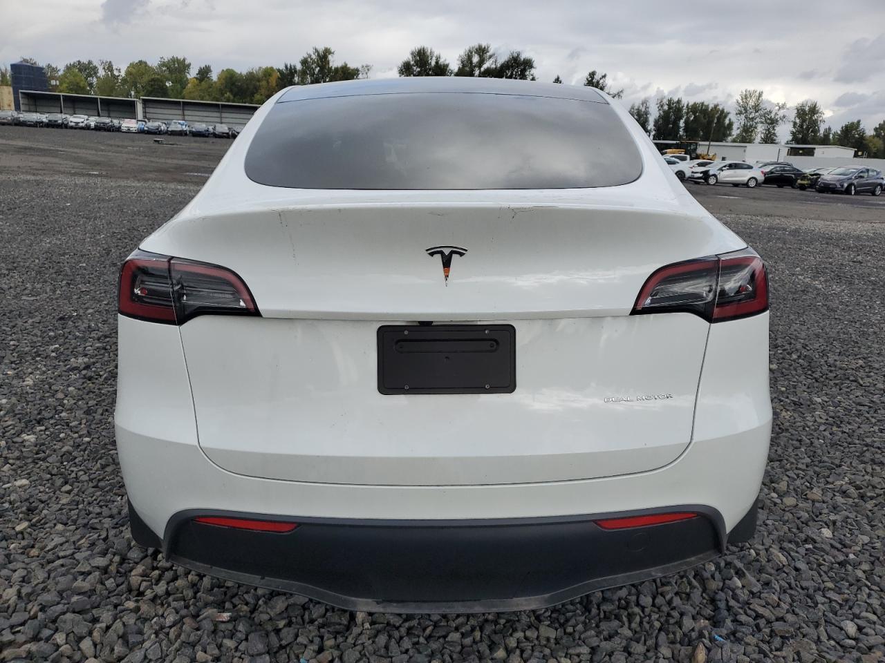 2024 TESLA MODEL Y  VIN:7SAYGDEE1RF084714