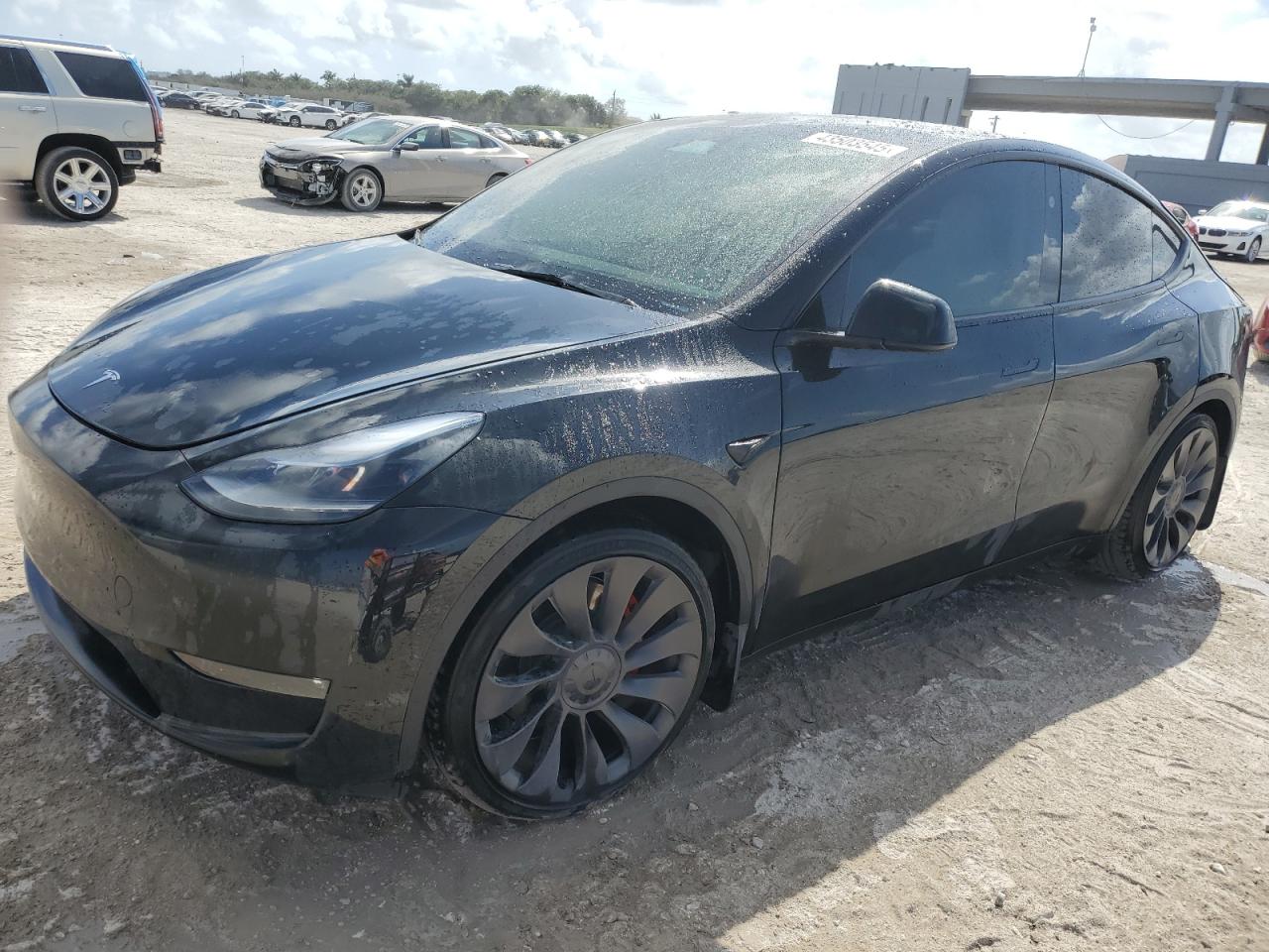 2023 TESLA MODEL Y  VIN:7SAYGDEF4PF977952