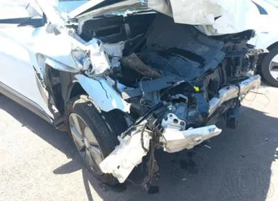 2019 Hyundai Kona KMHK281GFKU015959 VIN:KMHK281GFKU015959