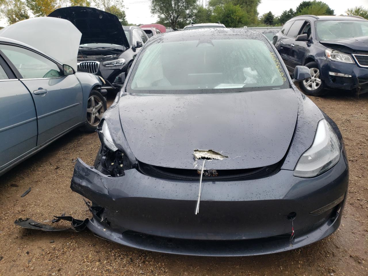 2023 TESLA MODEL 3  VIN:5YJ3E1EC9PF709268