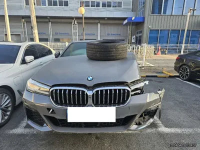 2021 BMW 523 WBA11ES05MWX21765 VIN:WBA11ES05MWX21765