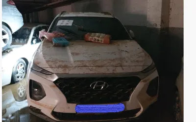 2020 Hyundai Santa FE KMHS281BBLU264381 VIN:KMHS281BBLU264381