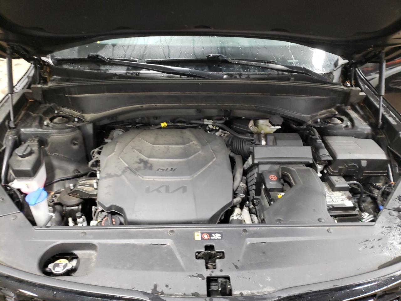2022 KIA TELLURIDE EX VIN:5XYP3DHCXNG204852