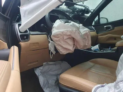 2021 Kia Sorento KNARL81BGMA097542 VIN:KNARL81BGMA097542