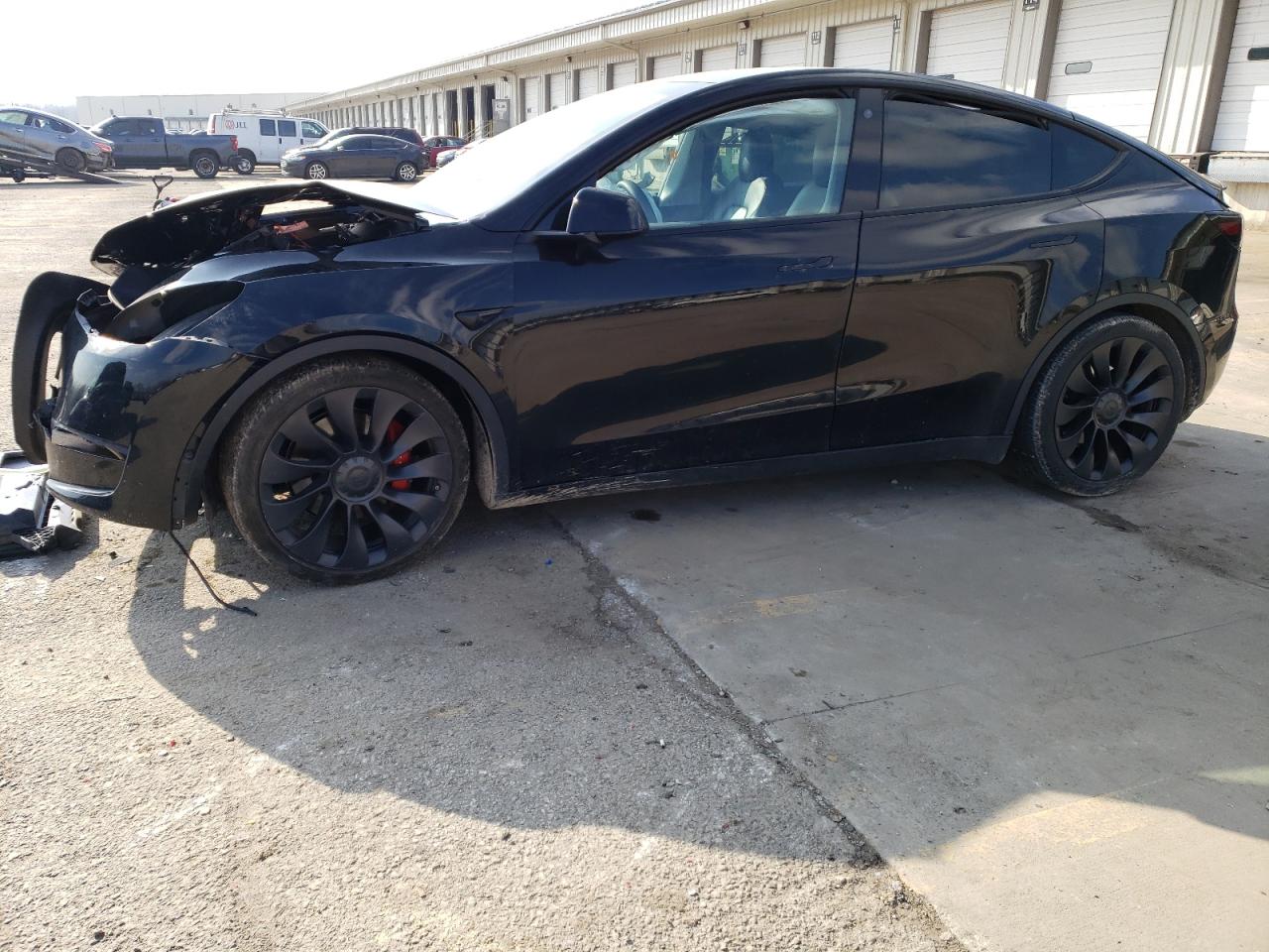 2022 TESLA MODEL Y  VIN:7SAYGDEF1NF343706