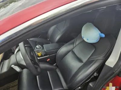 2021 Tesla Model 3 VIN: