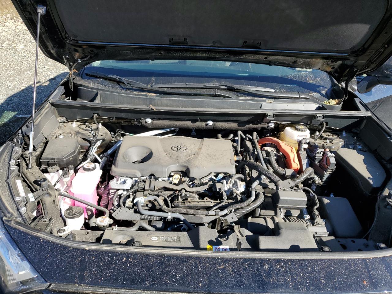 2024 TOYOTA RAV4 WOODLAND EDITION VIN:2T3UWRFVXRW204496