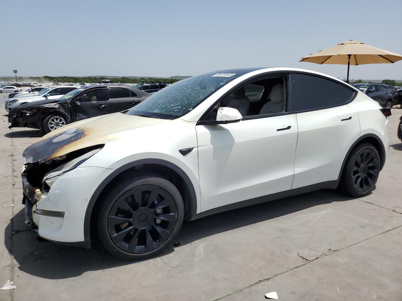 2022 TESLA MODEL Y  VIN:7SAYGDEE6NF355356