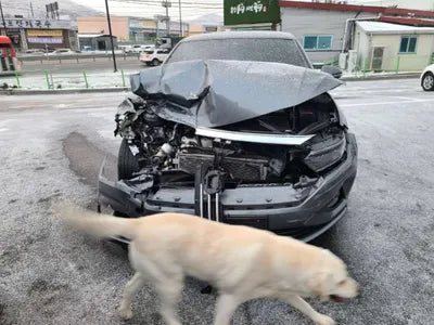 2021 Volkswagen Jetta WVWZZZBUZMM083546 VIN:WVWZZZBUZMM083546