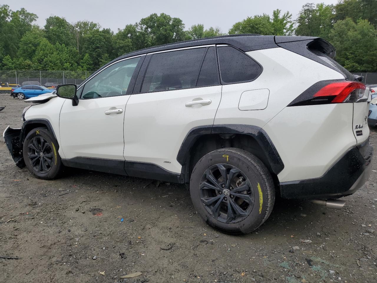 2022 TOYOTA RAV4 XSE VIN:4T3E6RFVXNU098579