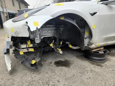 2020 Tesla Model 3 5YJ3E1EA6LF726523 VIN:5YJ3E1EA6LF726523