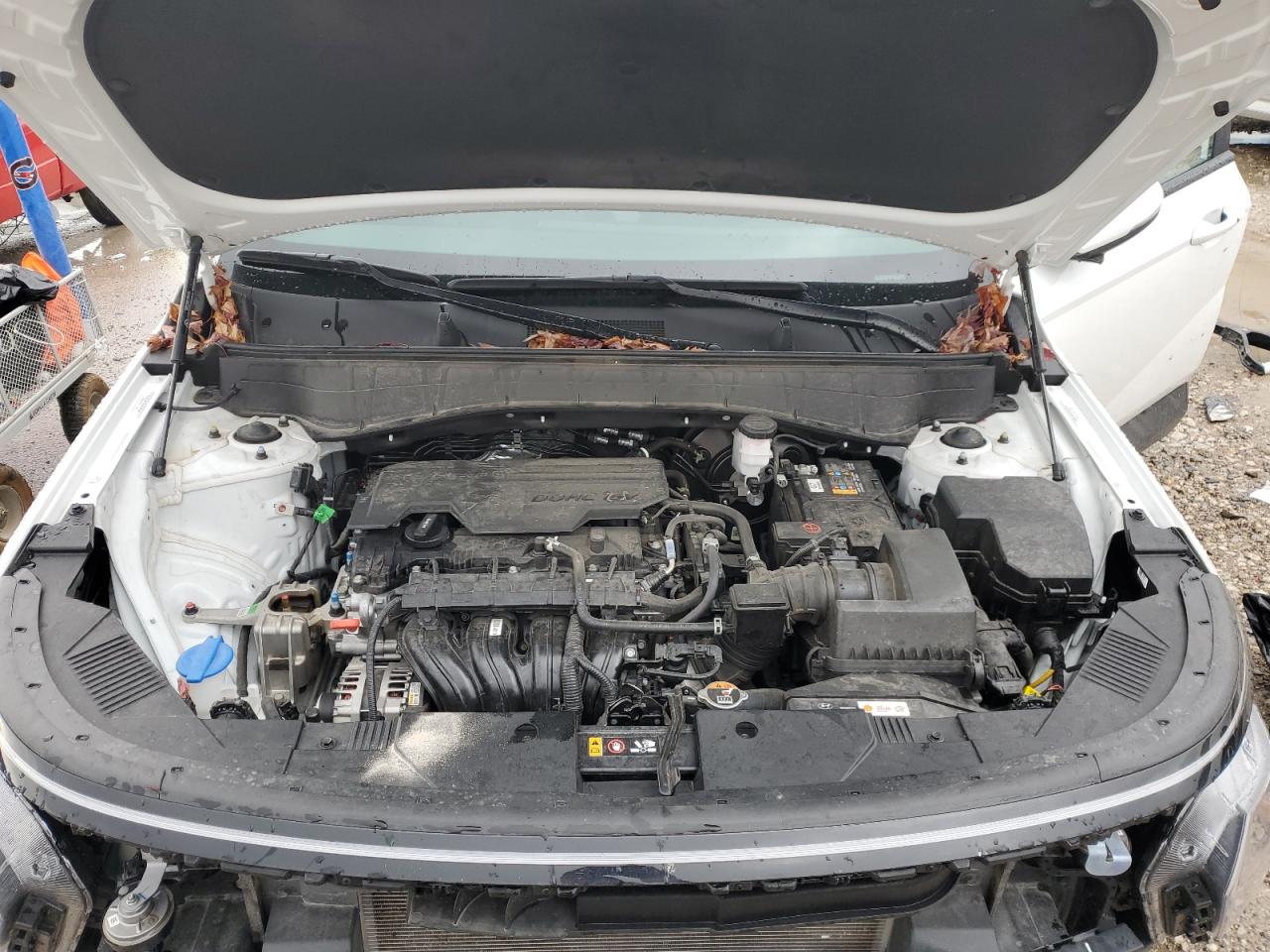 2024 HYUNDAI KONA SEL VIN:KM8HBCAB7RU119387