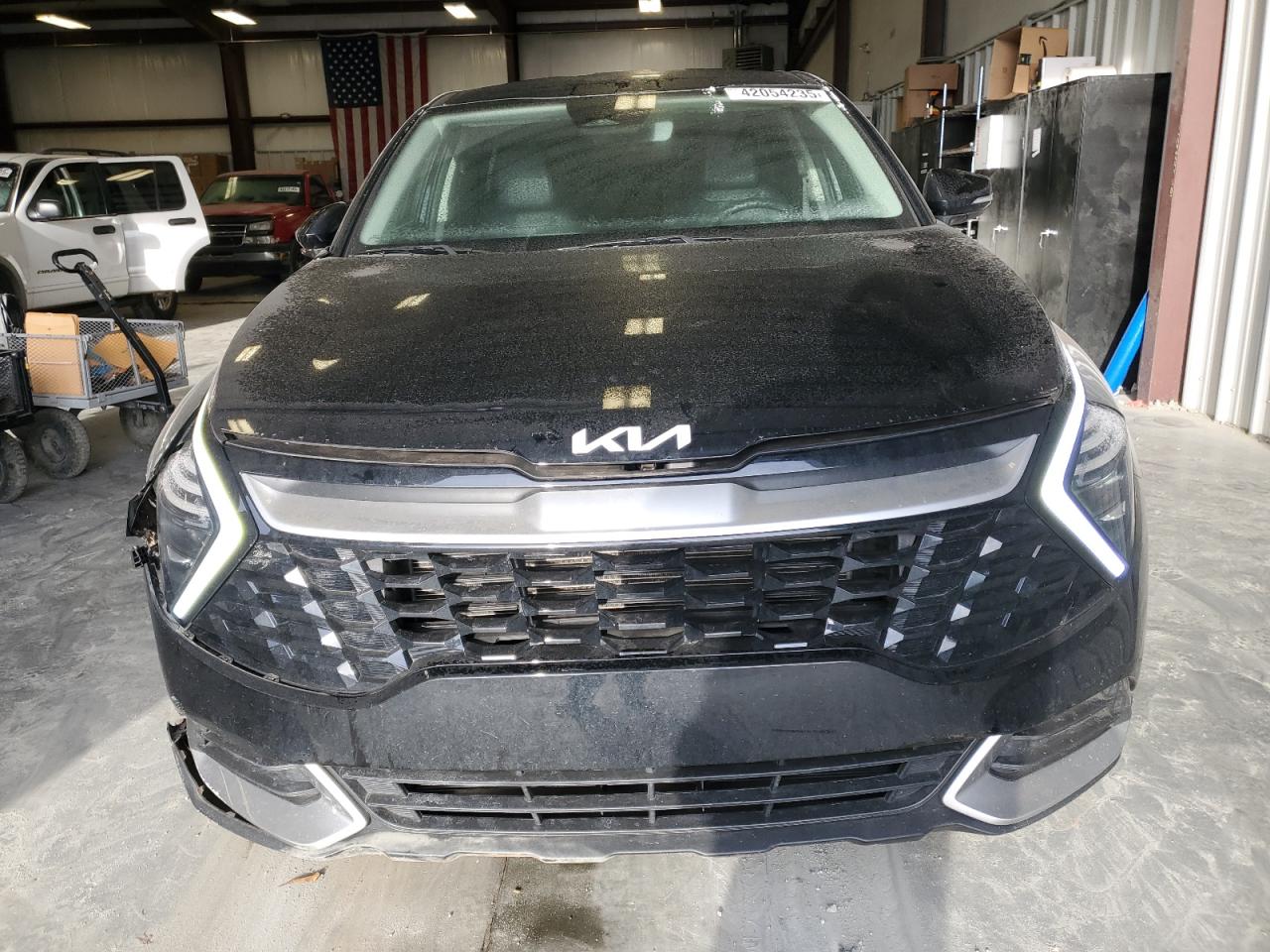 2024 KIA SPORTAGE EX VIN:5XYK33DF2RG164745