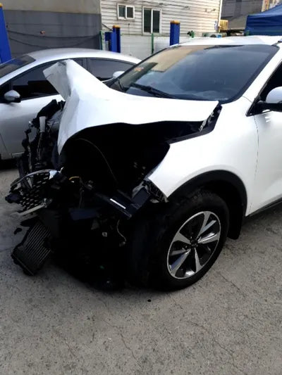 2018 Kia Sorento KNAPG81BDKA474573 VIN:KNAPG81BDKA474573