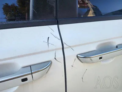 2021 Kia Carnival VIN:
