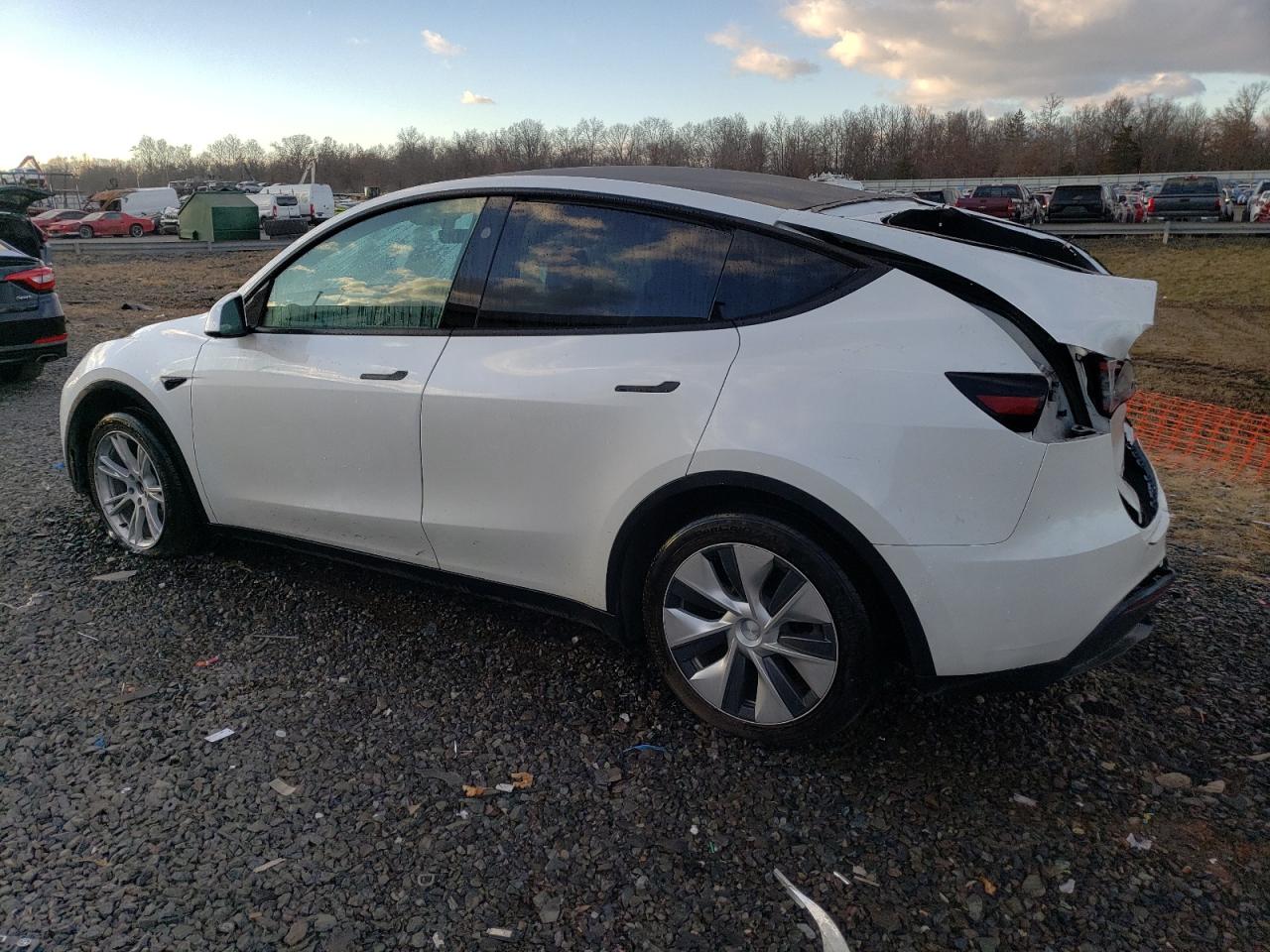 2023 TESLA MODEL Y  VIN:7SAYGDEE5PF823323