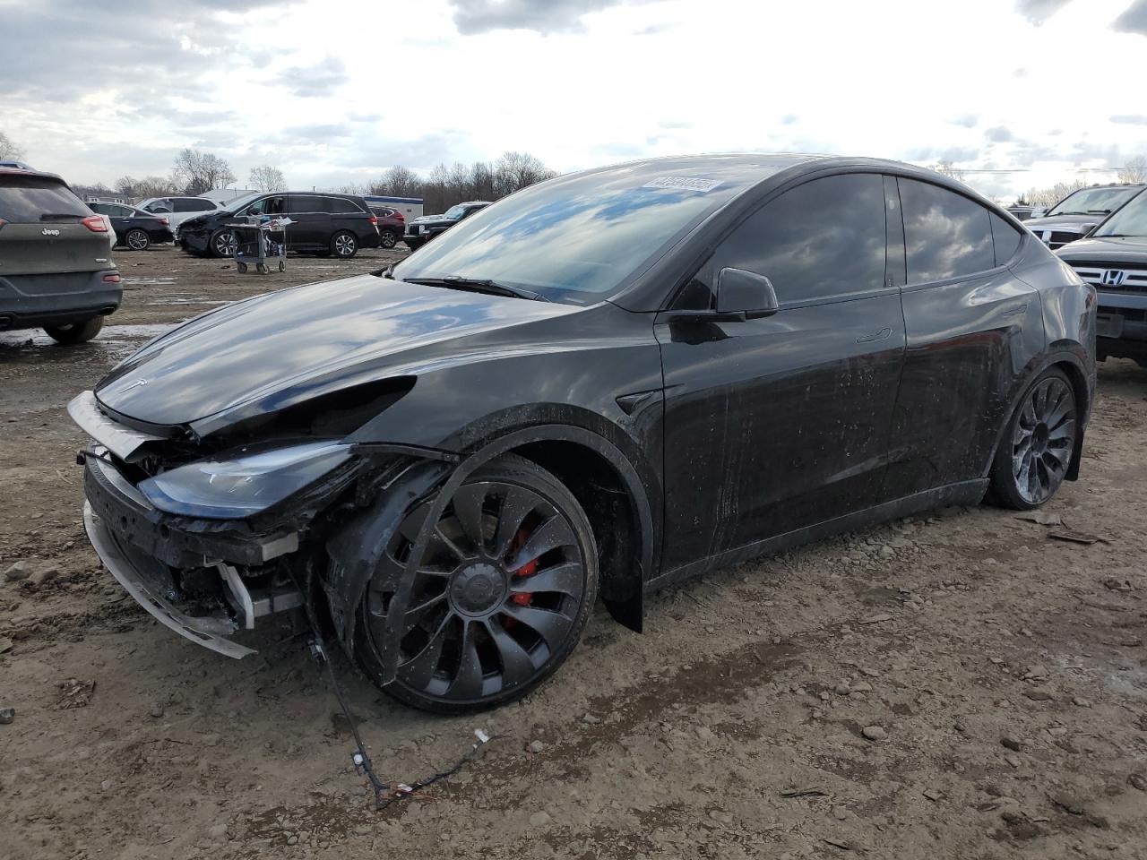 2023 TESLA MODEL Y  VIN:7SAYGDEF4PF834497