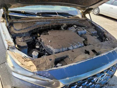 2019 Hyundai Santa FE KMHS381BBKU184040 VIN:KMHS381BBKU184040