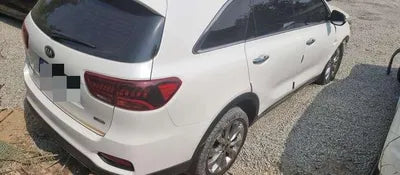 2019 Kia Sorento KNAPS81BBLA564800 VIN:KNAPS81BBLA564800