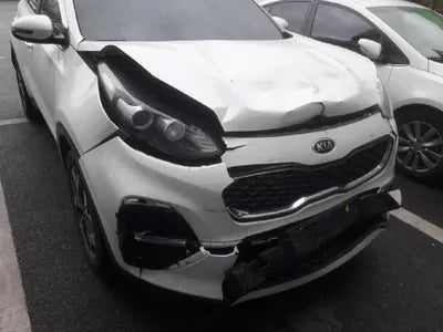 2021 Kia Sportage KNAPN813BMK924179 VIN:KNAPN813BMK924179