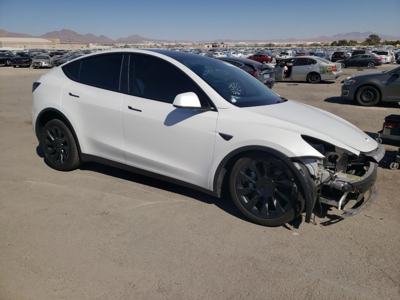 2024 TESLA MODEL Y  VIN:7SAYGDEE4RF077370