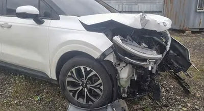 2021 Kia Carnival KNANB81BBMS026208 VIN:KNANB81BBMS026208