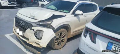 2019 Hyundai Santa FE KMHS381ADKU168779 VIN:KMHS381ADKU168779