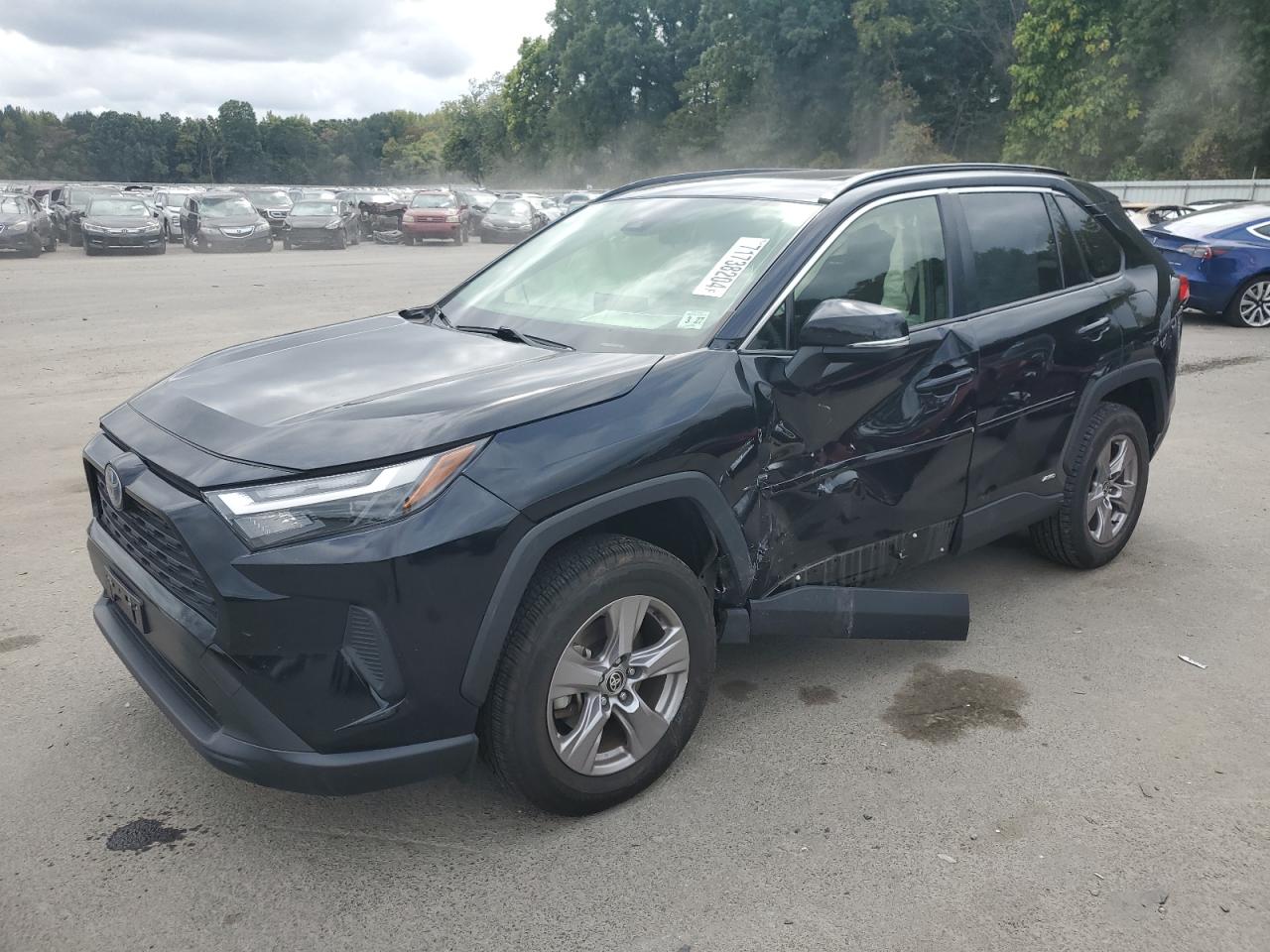 2022 TOYOTA RAV4 XLE VIN:JTMRWRFV5ND153003