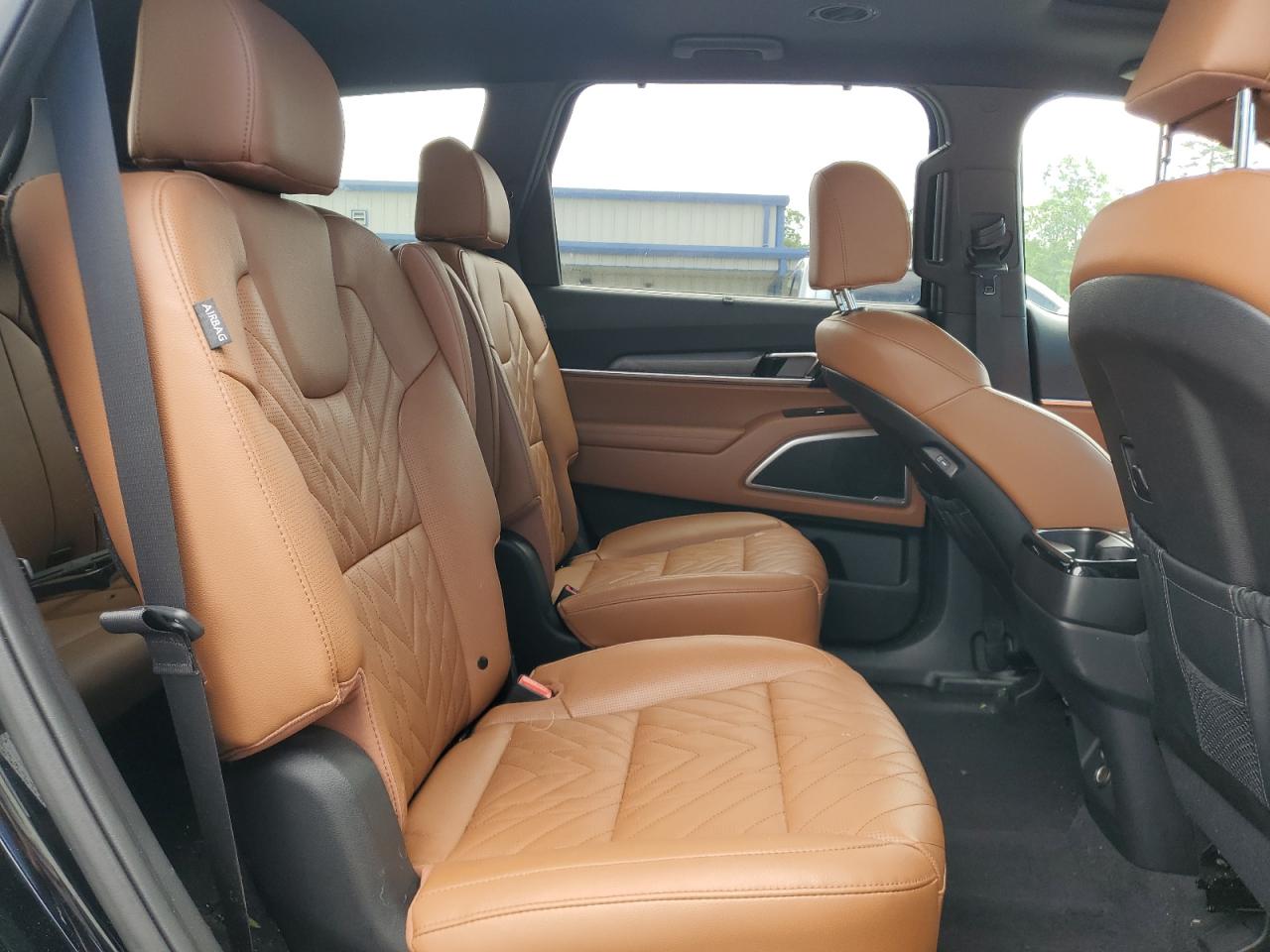 2024 KIA TELLURIDE EX VIN:5XYP3DGC6RG446545