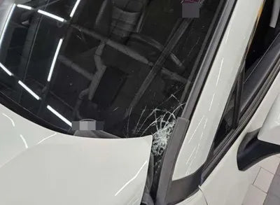 2019 Toyota RAV4 VIN: