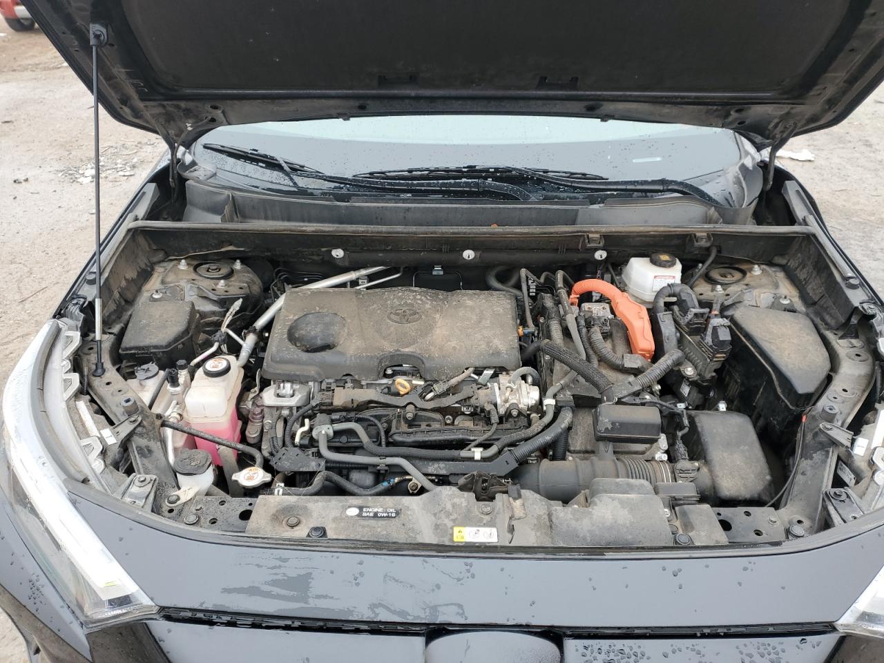 2022 TOYOTA RAV4 XLE VIN:4T3RWRFV4NU062128