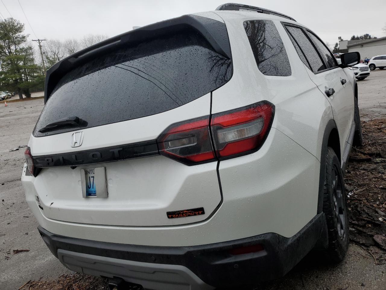 2024 HONDA PILOT TRAILSPORT VIN:5FNYG1H65RB036567