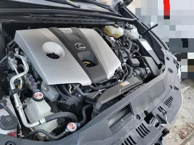 2019 Lexus ES 300 VIN: