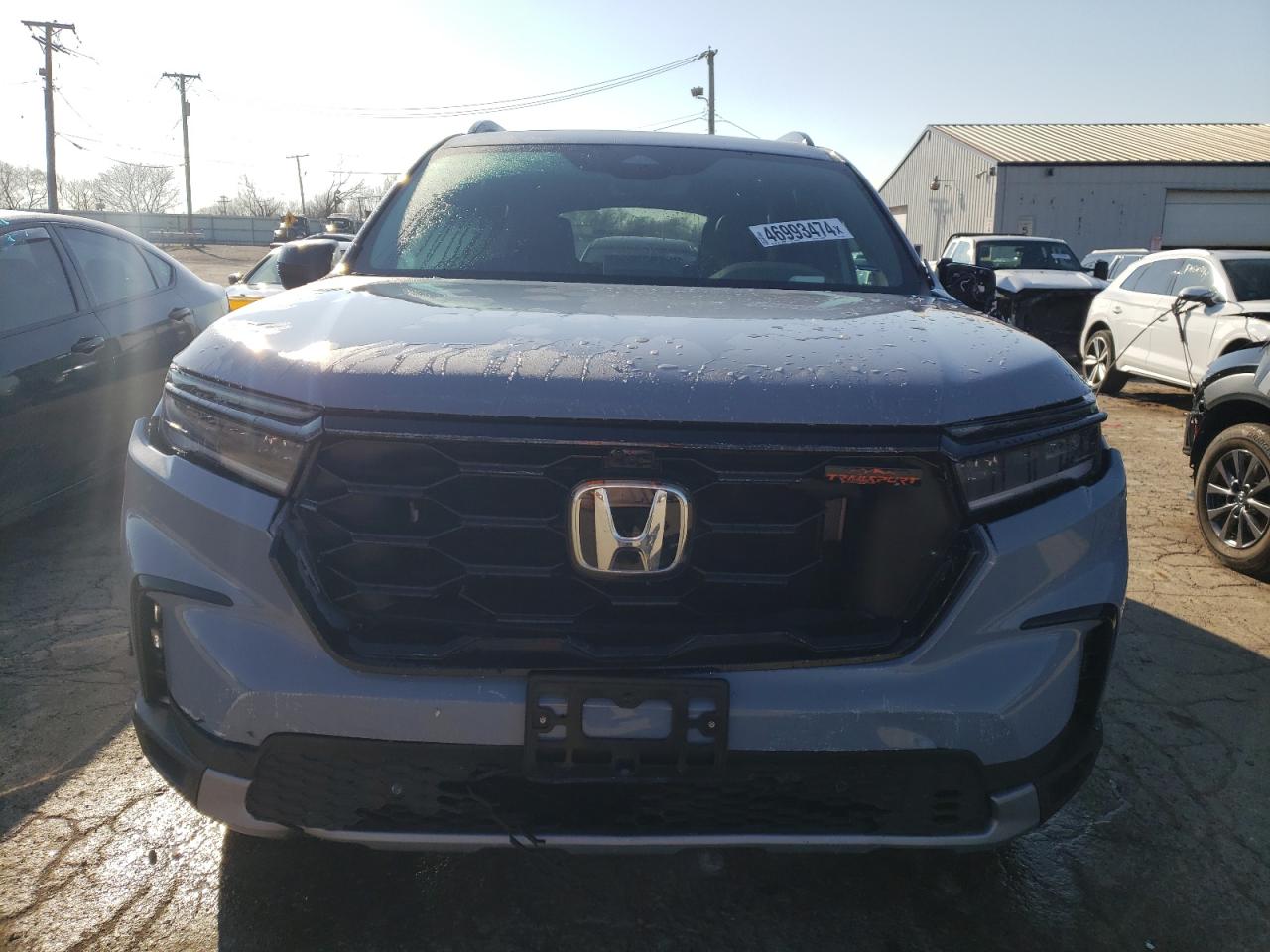 2024 HONDA PILOT TRAILSPORT VIN:5FNYG1H66RB030938