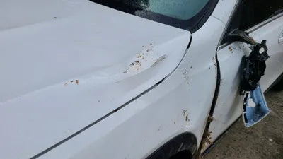 2021 Mercedes-Benz B 250 W1N4M4HB4MW101928 VIN:W1N4M4HB4MW101928